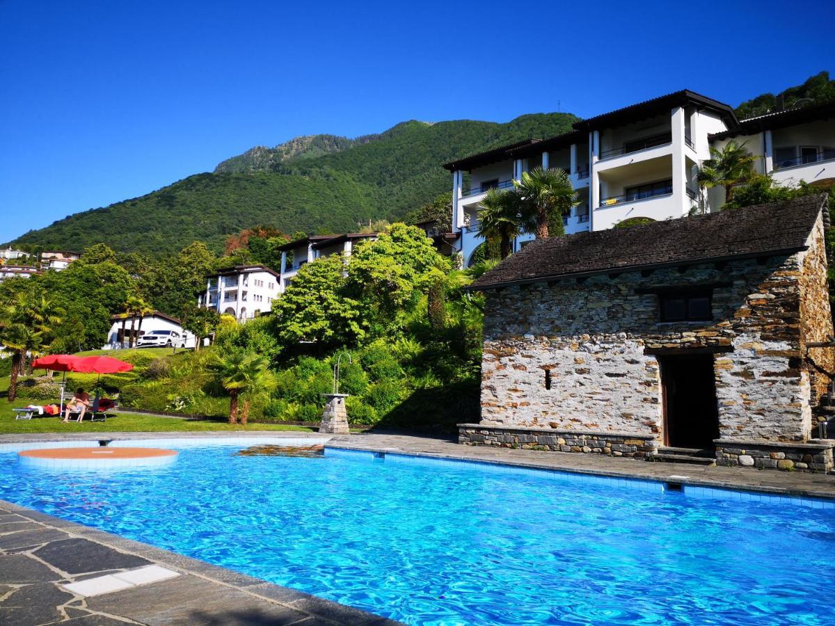 1 Zimmer Apartment Mit Seesicht Und Pool Gambarogno Eksteriør billede
