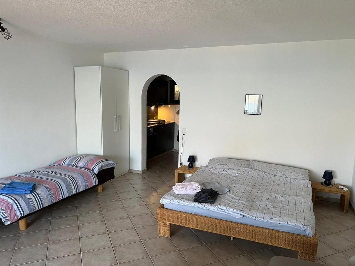 1 Zimmer Apartment Mit Seesicht Und Pool Gambarogno Eksteriør billede